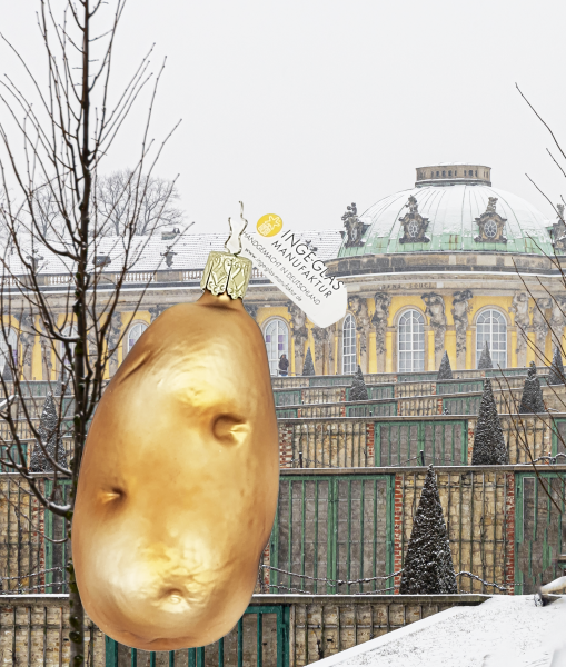 Baumschmuck Goldene Kartoffel - groß